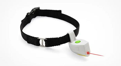 Laser Pointer Pet Pet Collar